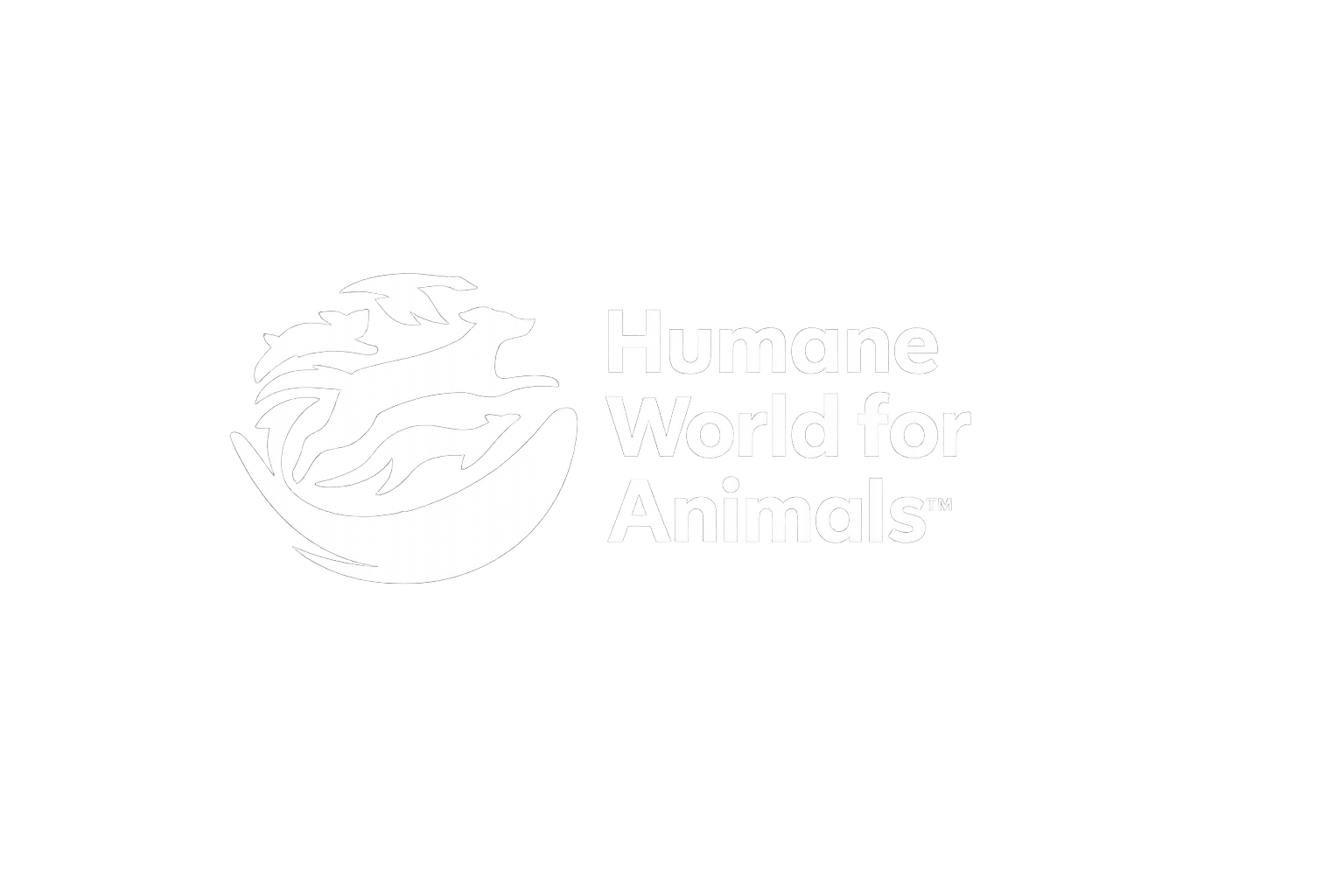 ChatGPT Image Feb 19, 2026, 11_46_53 AM